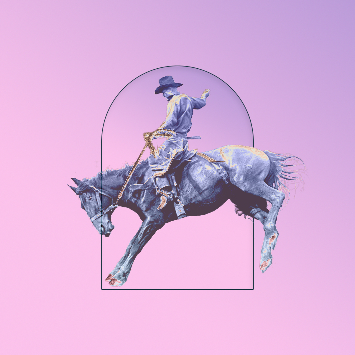 CALIFORNIA RODEO COVER